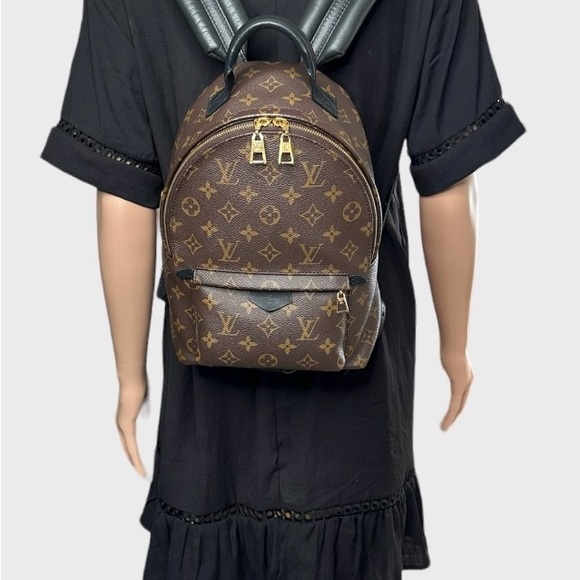 Louis Vuitton Monogram Palm Springs Backpack PM - Picture 15 of 17